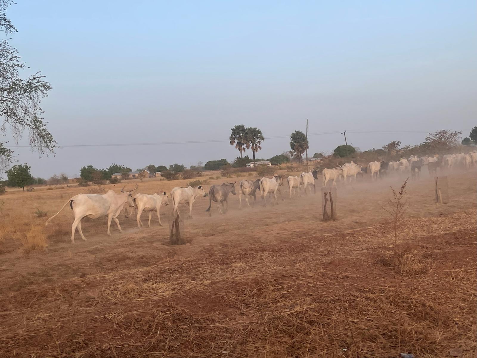 CLIMATE CHANGE THREATENING FAMILIES’ LIVES AND LIVELIHOODS AT MY HOME IN GHANA